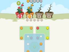 Juego Flower Collection