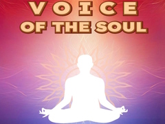 Juego Voice Of The Soul