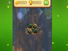 Juego Magic Druid Memory Match
