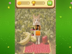 Juego Farm Cat Memory Match