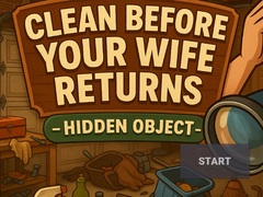 Juego Clean Before Your Wife Returns Hidden Object