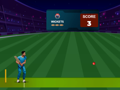Juego Cricket Night 2