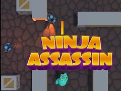 Juego Ninja Assassin