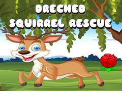 Juego Drenched Squirrel Rescue