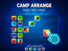 Juego Camp Arrange