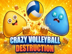 Juego Crazy Volleyball Destruction