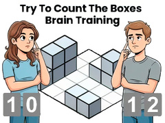 Juego Try To Count The Boxes Brain Training