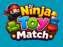 Juego Ninja Toy Match