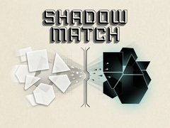 Juego Shadow Match