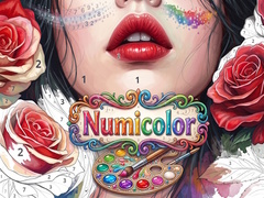 Juego Numicolor