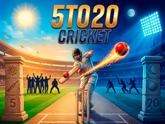 Juego 5TO20 Cricket