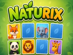 Juego Naturix