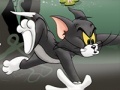 Juego Tom And Jerry Chase In Marsh