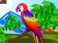 Juego Decor the Cute Parrot
