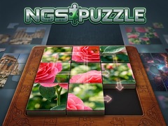 Juego NGS Puzzle