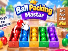 Juego Packing Master Puzzle