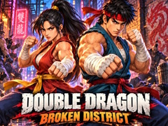 Juego Double Dragon Broken District