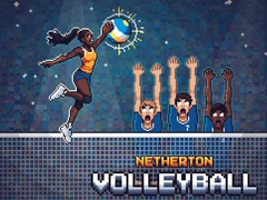 Juego Netherton Volleyball