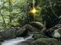 Juego Rambo: The Fight Continues