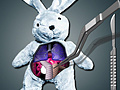 Juego Save The Bunny