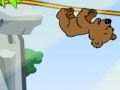 Juego Jungle brain