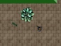 Juego Age of Ants