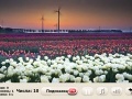 Juego Windflowers Find Numbers