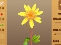 Juego Magic Flower