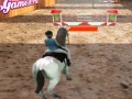 Juego Horse Jumping 3D