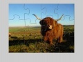 Juego Highland Cow Jigsaw