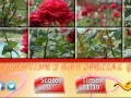 Juego Puzzle Craze - Rose Garden
