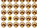 Juego Thanksgiving Day Matching Game