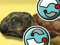 Juego Turtle Care