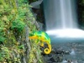 Juego Colorful Chameleon Sniper