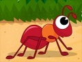 Juego Hurry Up Ant