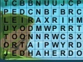 Juego Search words 9