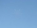 Juego Hidden Snowflakes