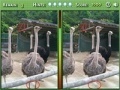 Juego Spot the Difference 2