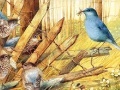 Juego Art Painting Bird Puzzles