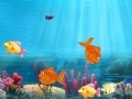 Juego Match the fish pairs