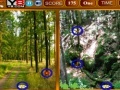 Juego Forest Similarities Game