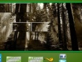 Juego Puzzle Craze Dark Forest
