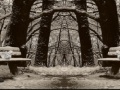 Juego Four Seasons Differences