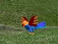 Juego Flashhuhn