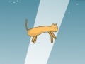 Juego Star Catz
