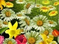 Juego Nature Flowers Puzzle