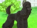 Juego Pretty poodle