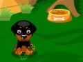 Juego Sweet Dog