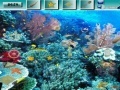 Juego Underwater World G2R