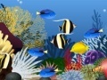 Juego Fish tank decoration